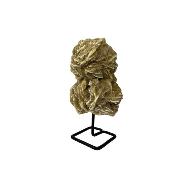 Rosa do Deserto na Base - Imagem 2