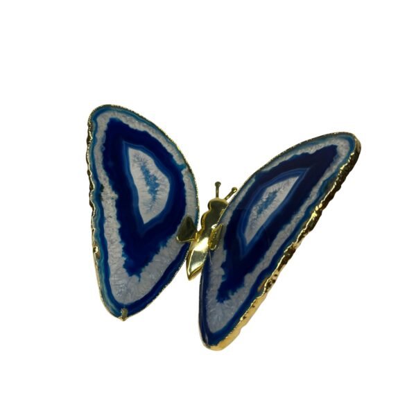 Borboleta em pedra ágata azul com bordas banhada a ouro
